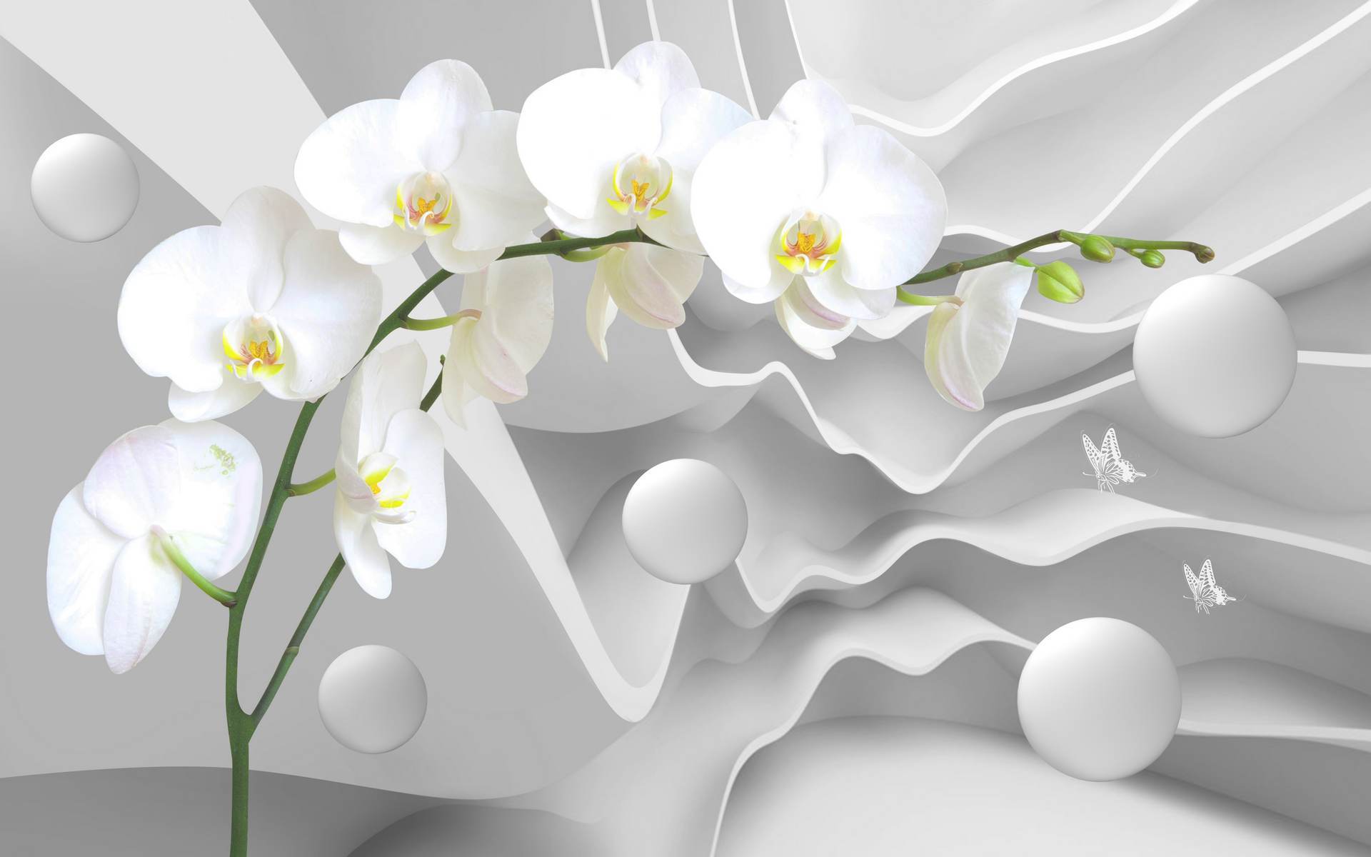 Orhidee albe pe valuri 3D