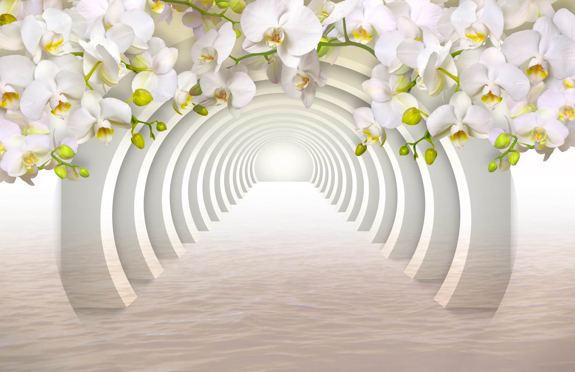 Orhidee albe în tunel abstract
