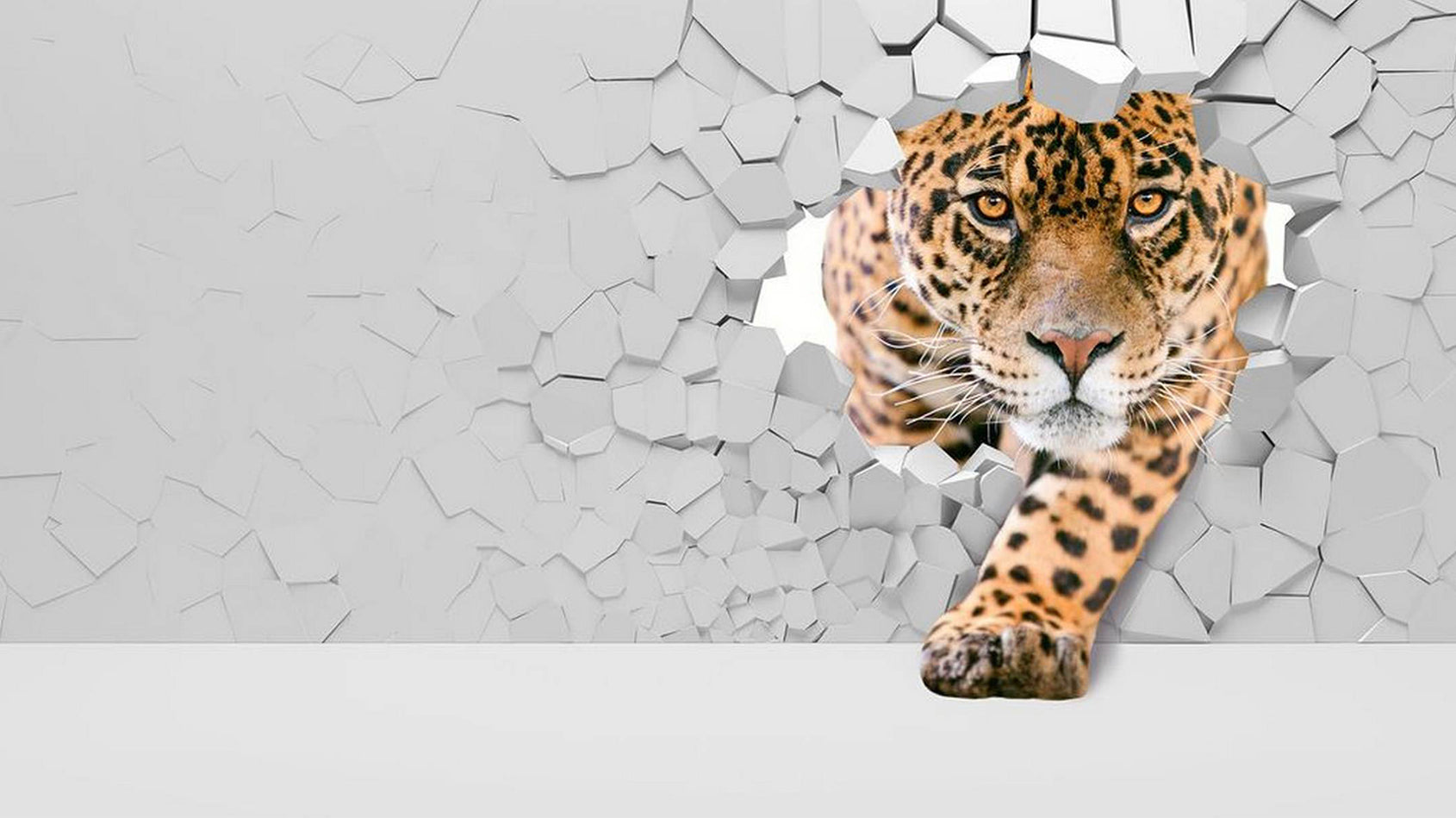 Leopard 3D ieșind prin perete