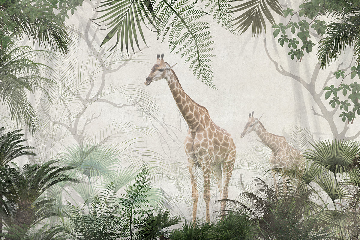 Girafe în junglă tropicală