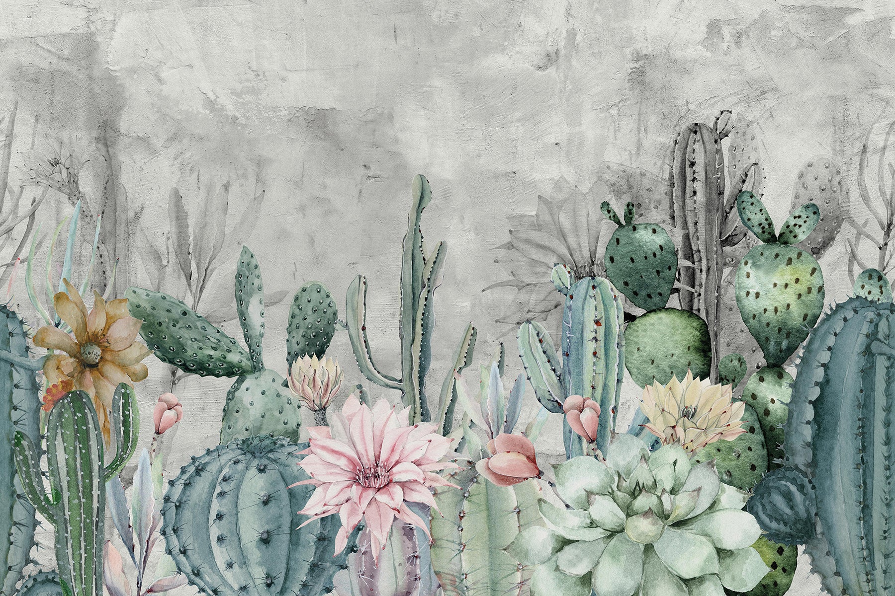 Cactuși pastel cu flori delicate