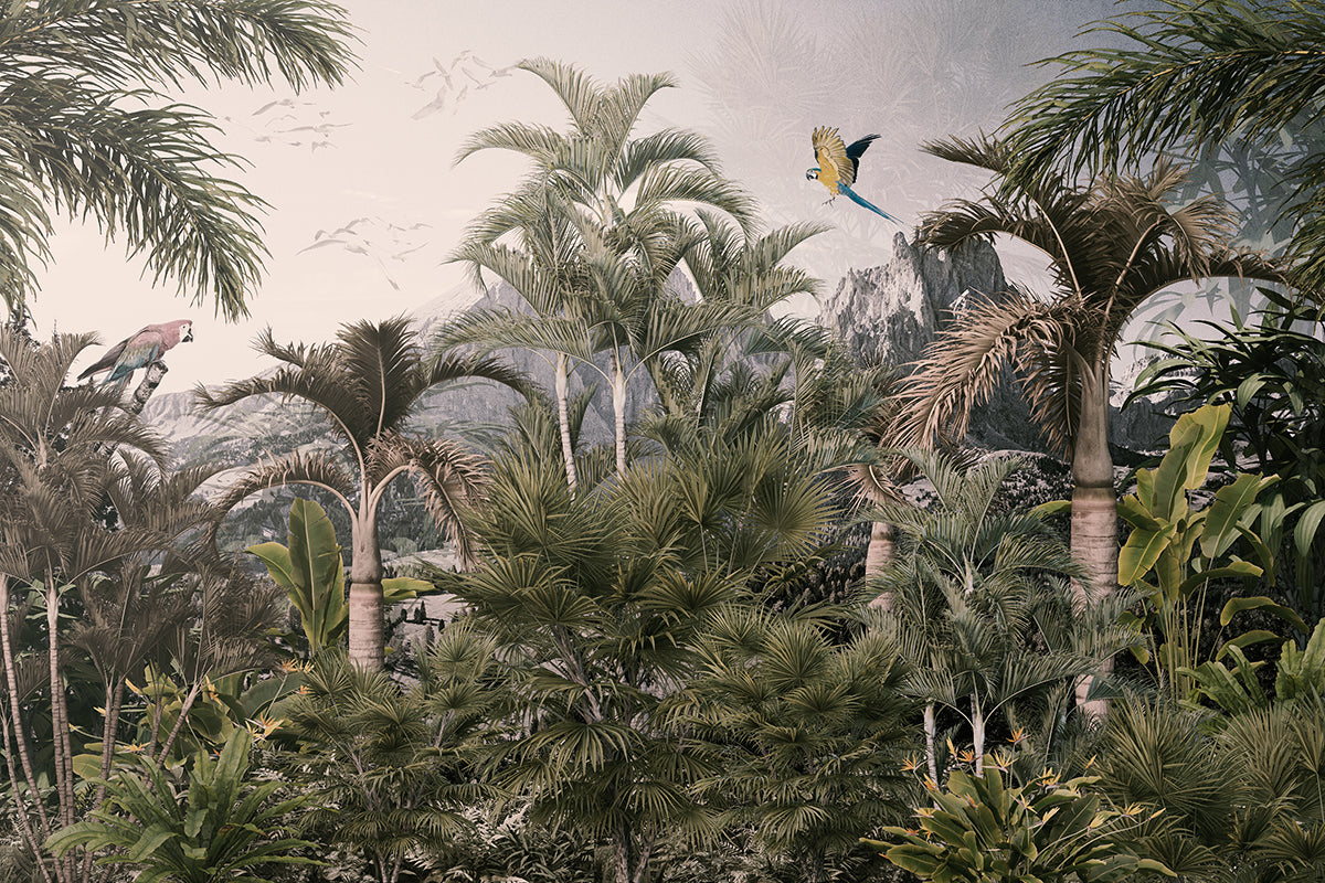 Palmieri tropicali
