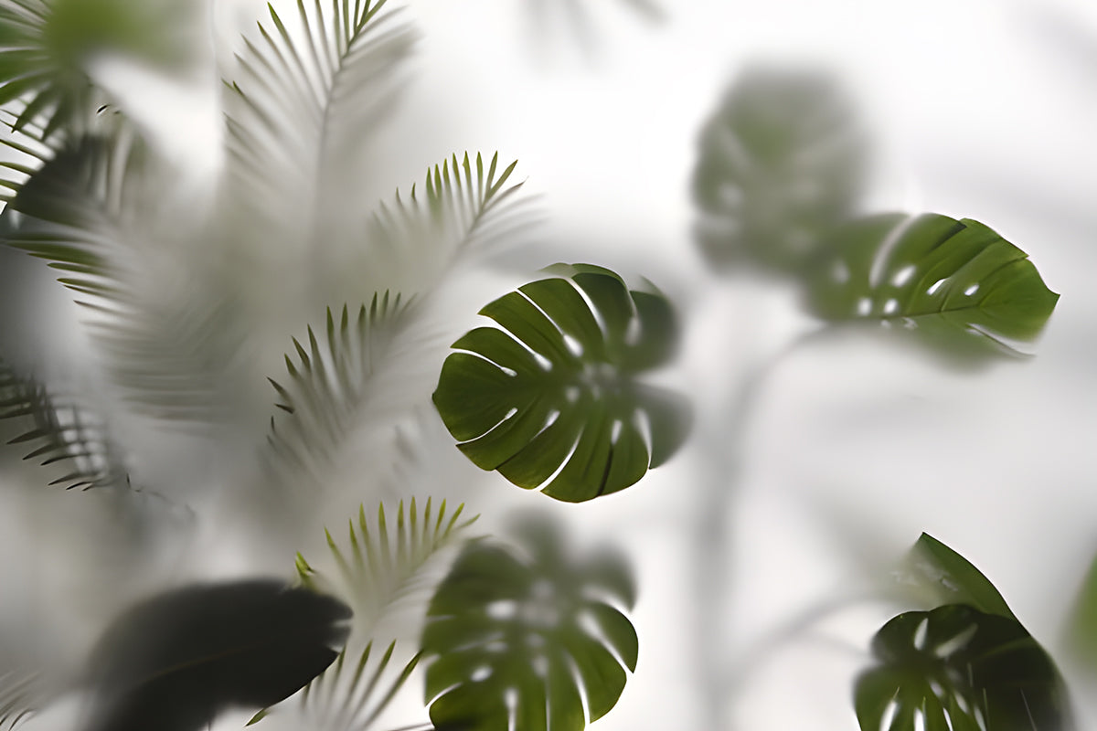 Frunze monstera în lumină verde