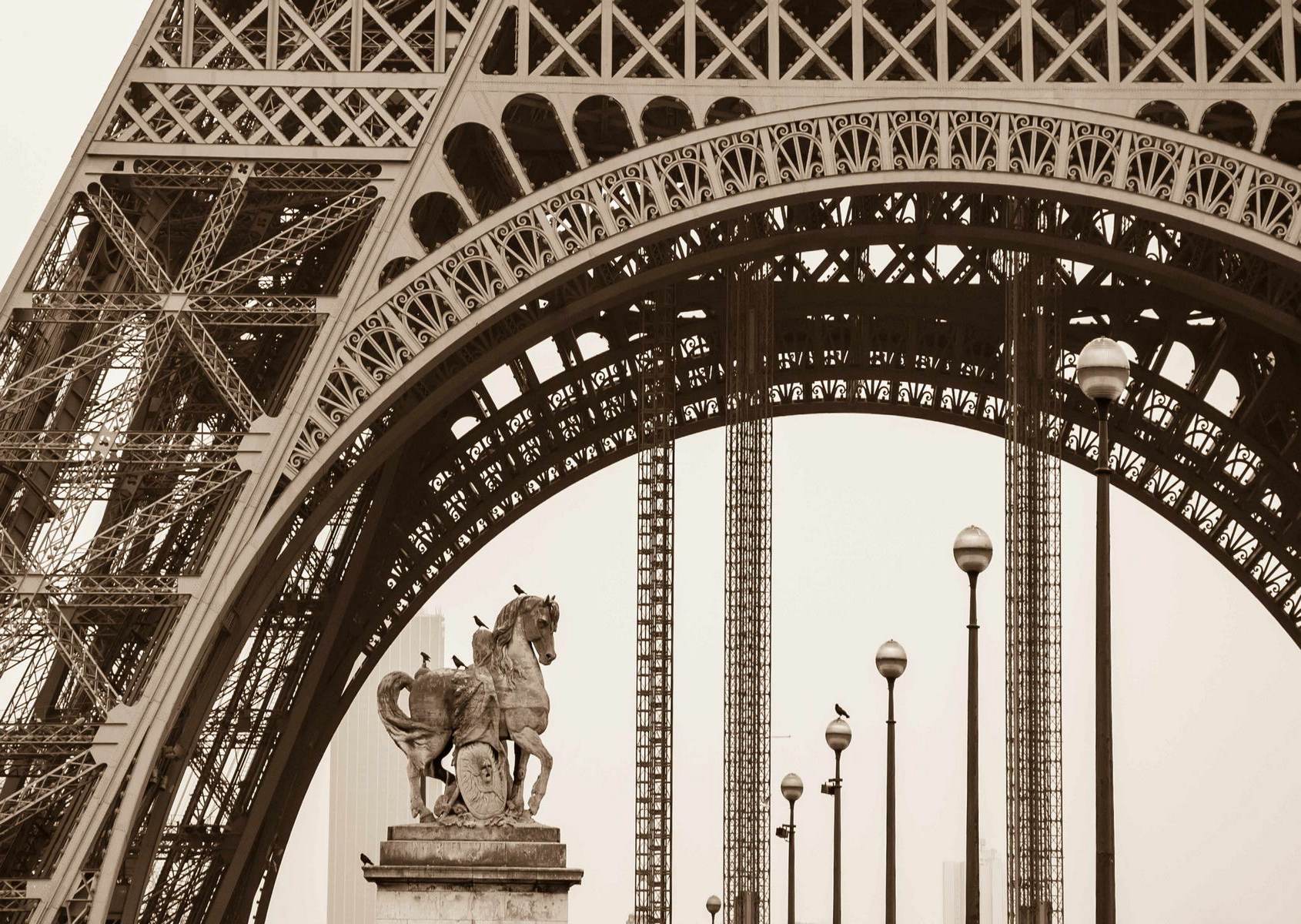 Turnul Eiffel în sepia elegantă