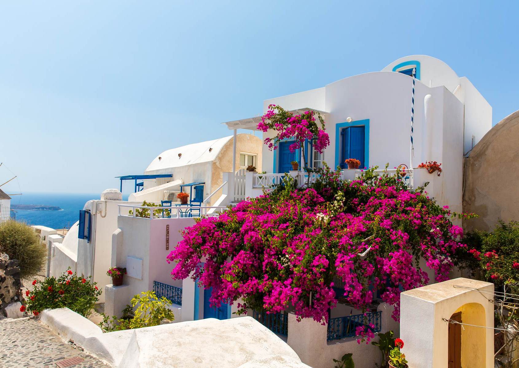 Santorini cu flori roz vibrante