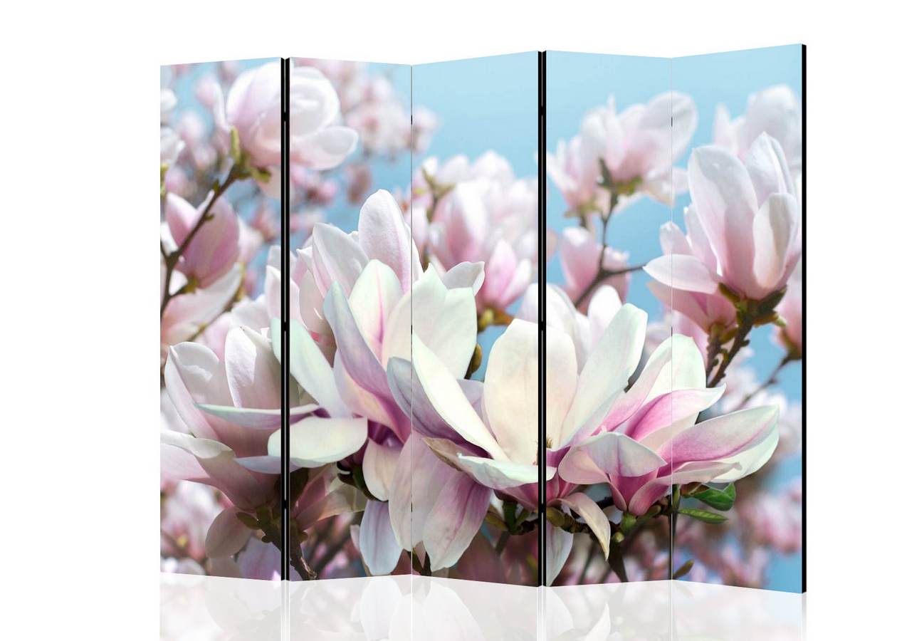 Paravan decorativ Magnolii înflorite pe cer albastru cu 5 secțiuni