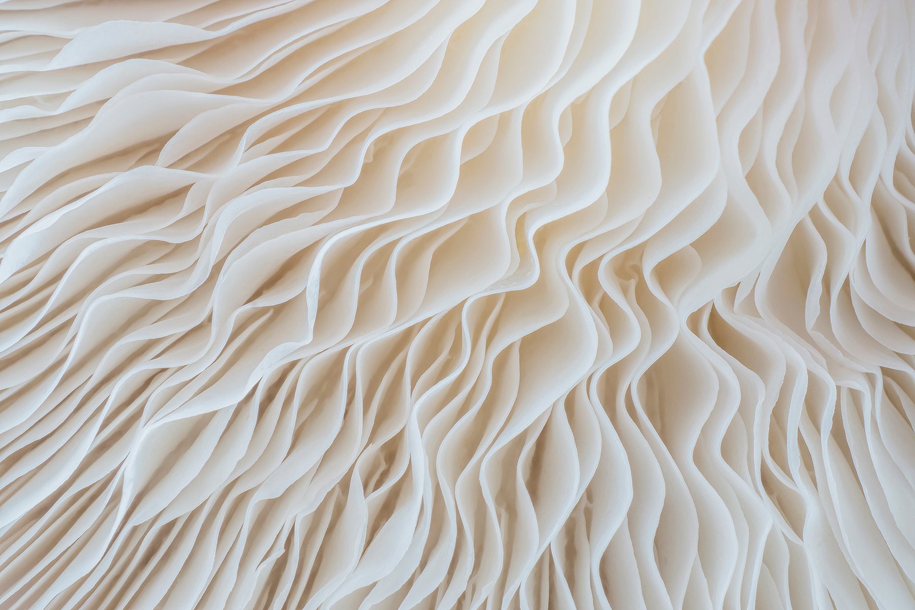 Textură abstractă crem cu valuri sculpturale 3D