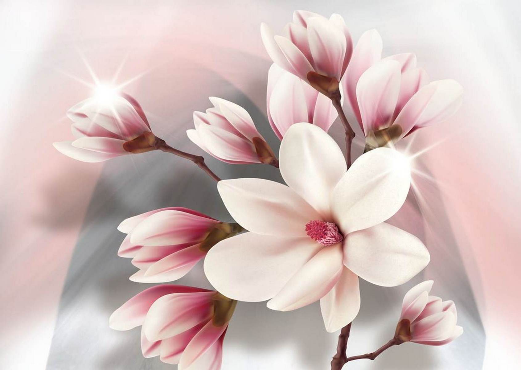 Magnolii roz cu lumină fină