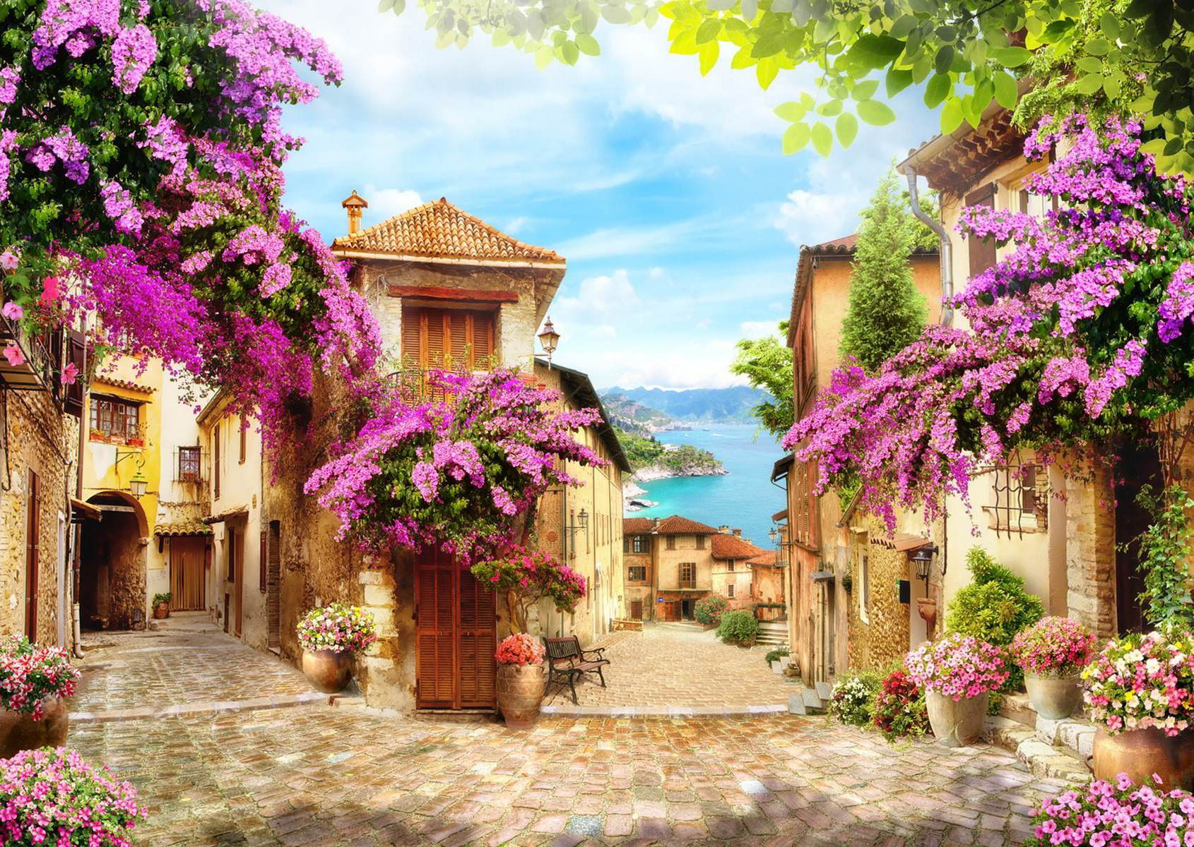 Alee cu bougainvillea înflorită