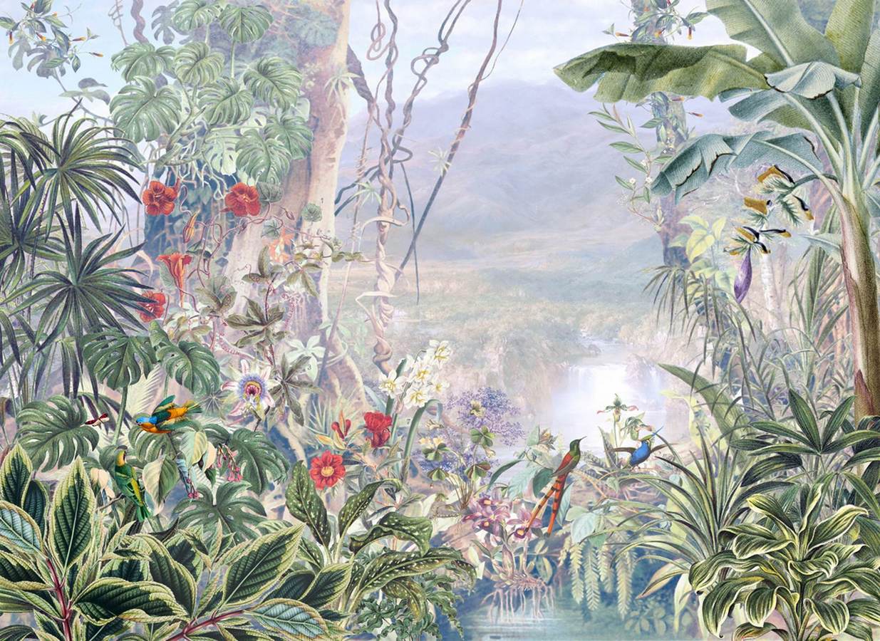 Junglă tropicală cu păsări exotice și cascadă