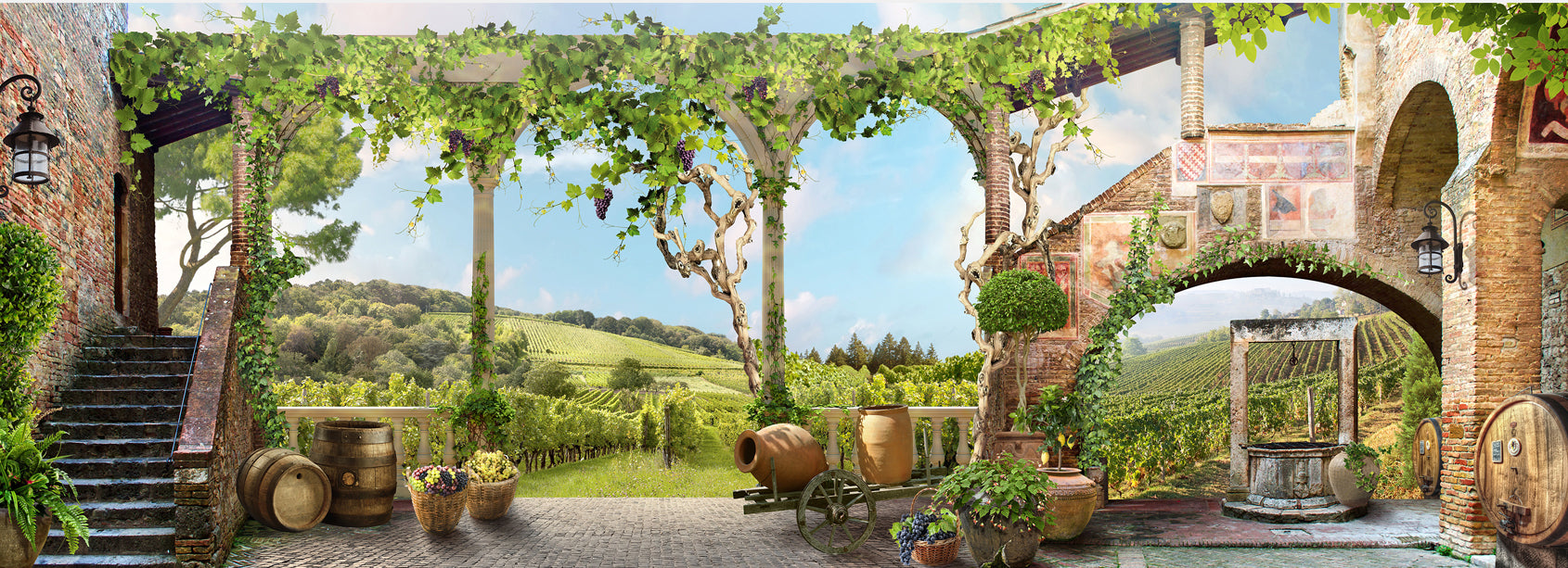 Grădină rustică cu pergolă verde