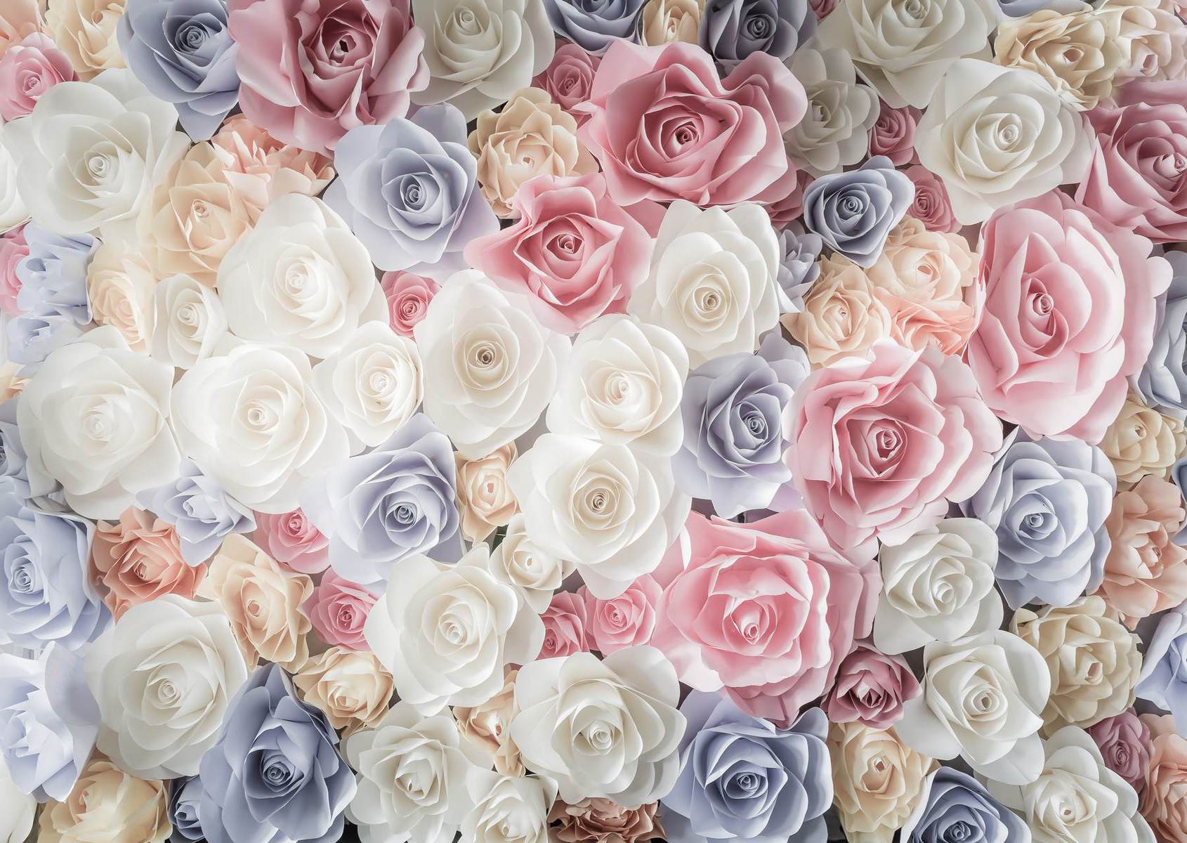 Perete floral cu trandafiri pastel