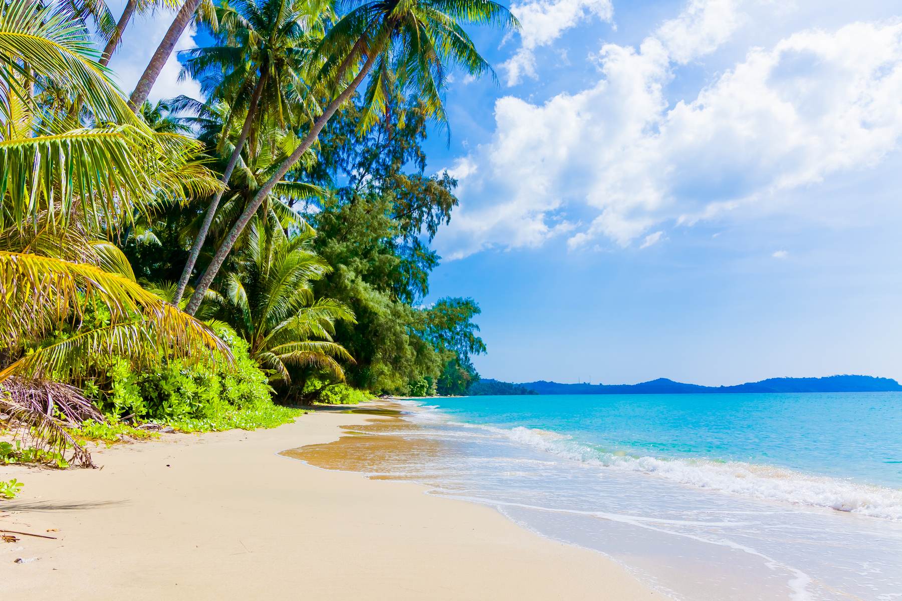 Plajă tropicală luminoasă