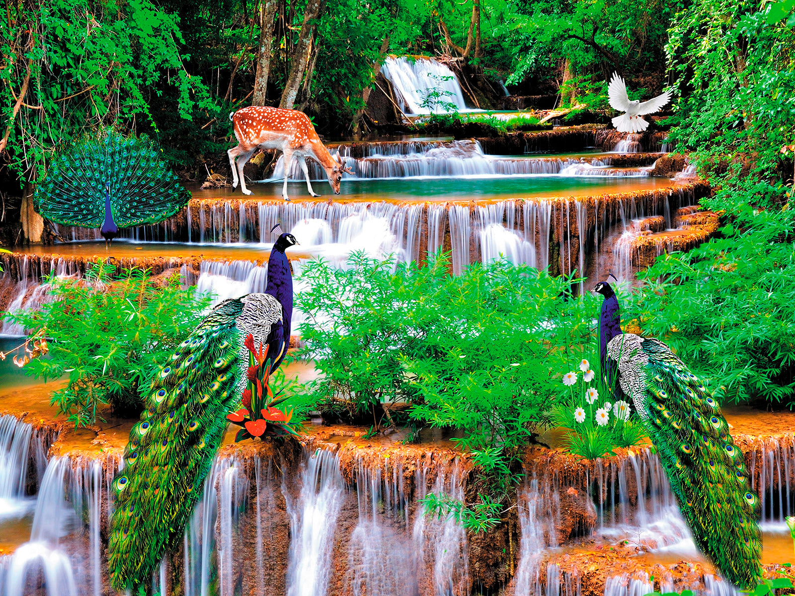 Grădină exotică cu păuni și cascade