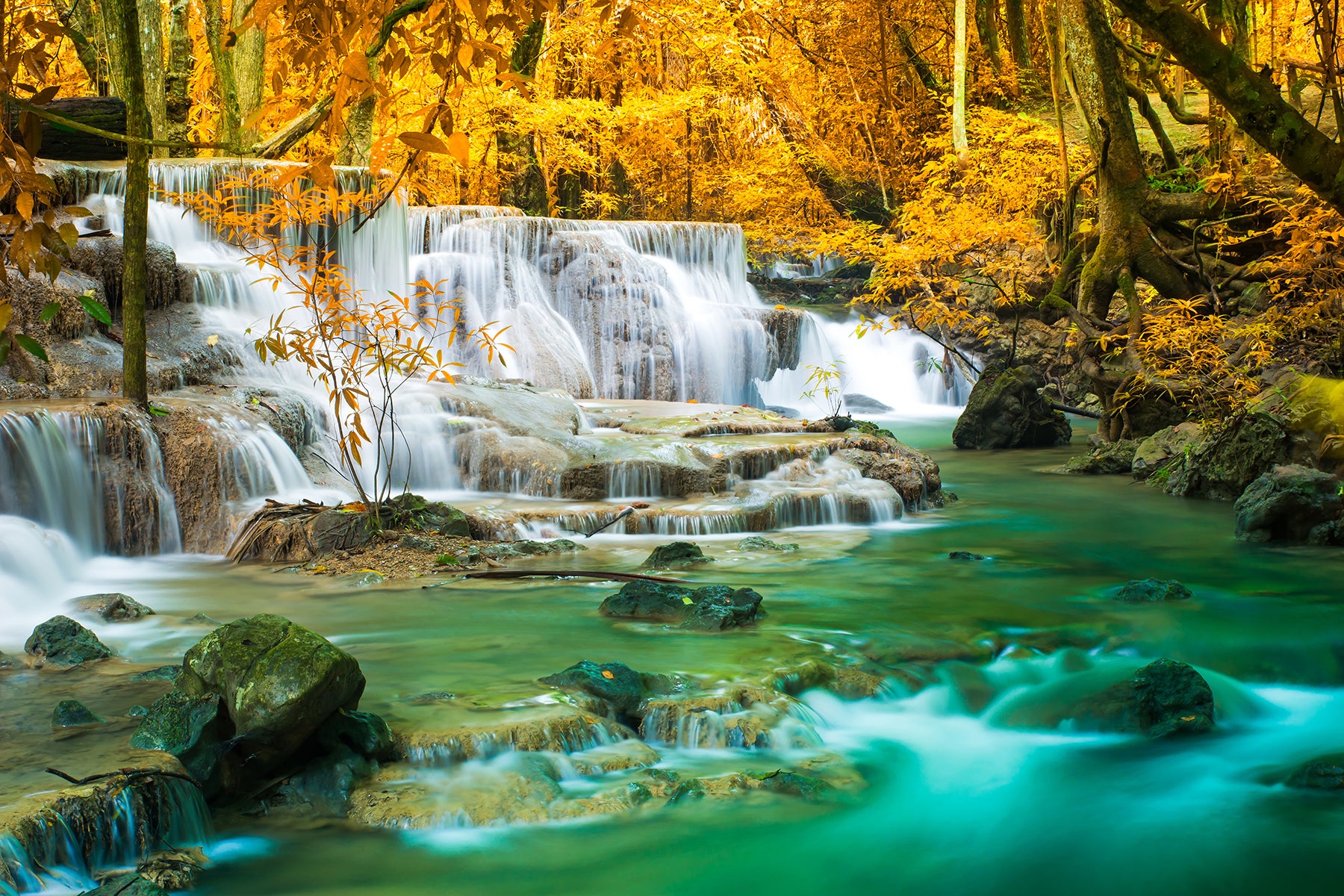 Cascade de pădure în culori calde