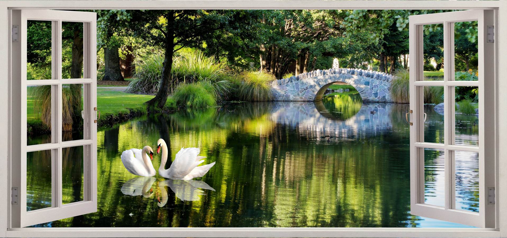 Fereastră spre lac cu lotus alb