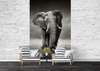 Wall Mural - Elephant friendly