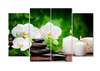 Modular picture, White orchid and green background., 198 x 115, 198 x 115