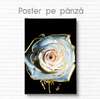 Poster - Trandafir alb cu contur auriu și pete, 30 x 45 см, Panza pe cadru