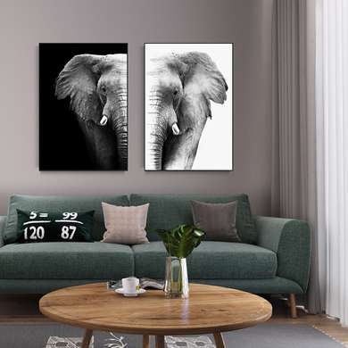 Постер - Слон, 60 x 90 см, Постер на Стекле в раме, Наборы