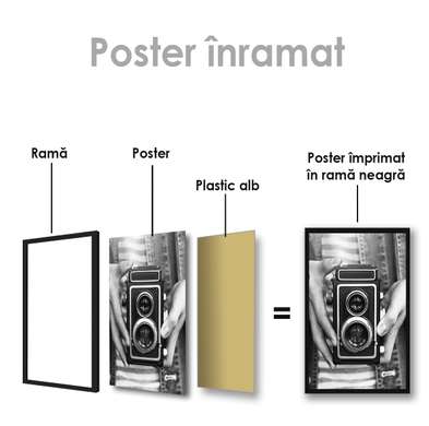 Poster - Aparat foto, 60 x 90 см, Poster inramat pe sticla