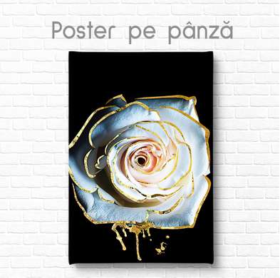 Poster - Trandafir alb cu contur auriu și pete, 60 x 90 см, Poster inramat pe sticla, Flori