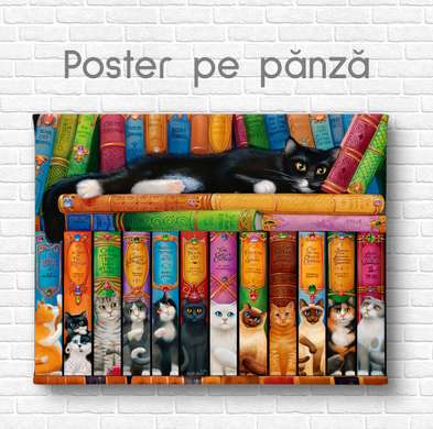 Poster, Pisici și cărțile, Animale