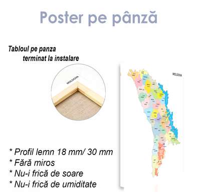 Постер - Политическая карта Республики Молдовы, 30 x 45 см, Холст на подрамнике