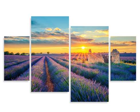 Modular picture, Lavender field.
