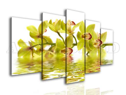 Modular picture, Yellow orchid in water reflection, 206 x 115