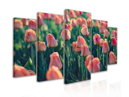 Модульная картина, Тюльпаны, 206 x 115