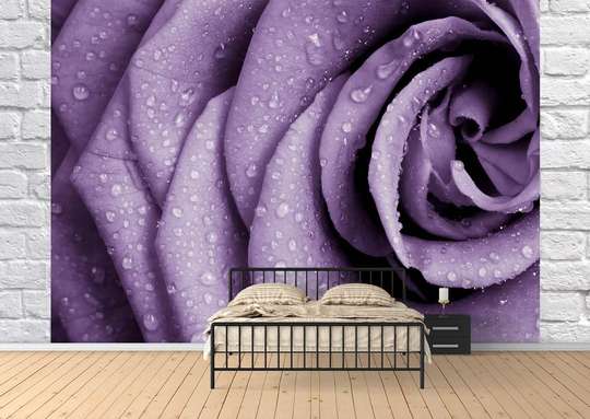 Wall Mural - Purple rose petals