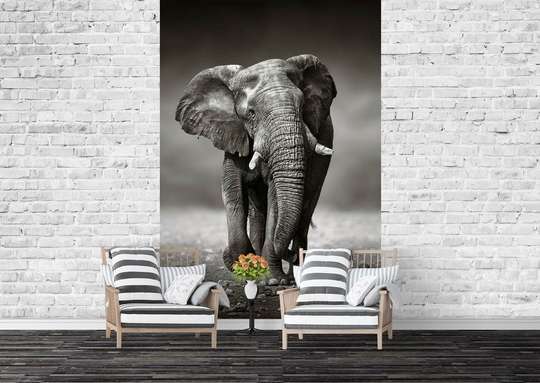Fototapet - Elefantul prietenos