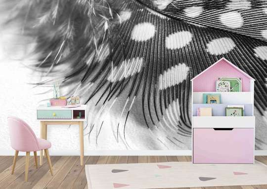 Wall Mural - Beautiful black and white feather.