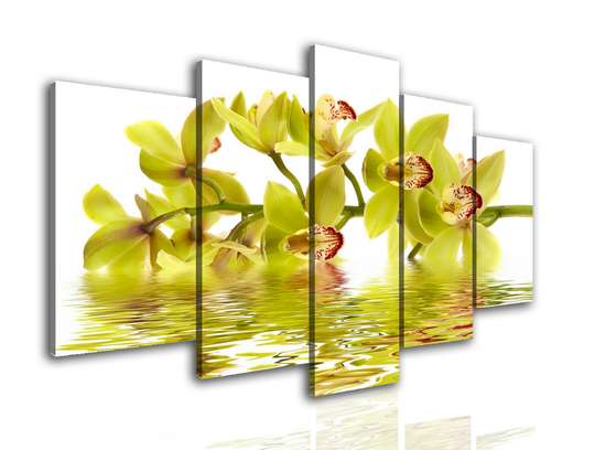 Tablou Multicanvas, Orhidee galbenă în reflexia apei, 108 х 60