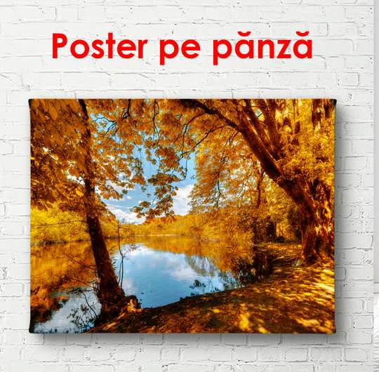 Poster - Autumn park with a waterfall, 90 x 60 см, Framed poster