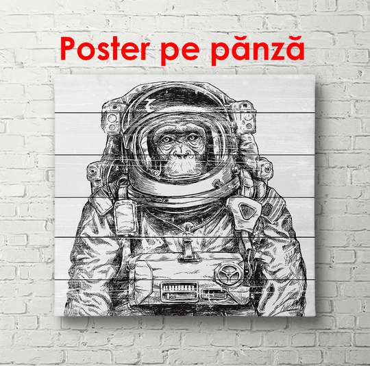 Постер - Обезьяна в скафандре, 40 x 40 см, Холст на подрамнике, Черно Белые