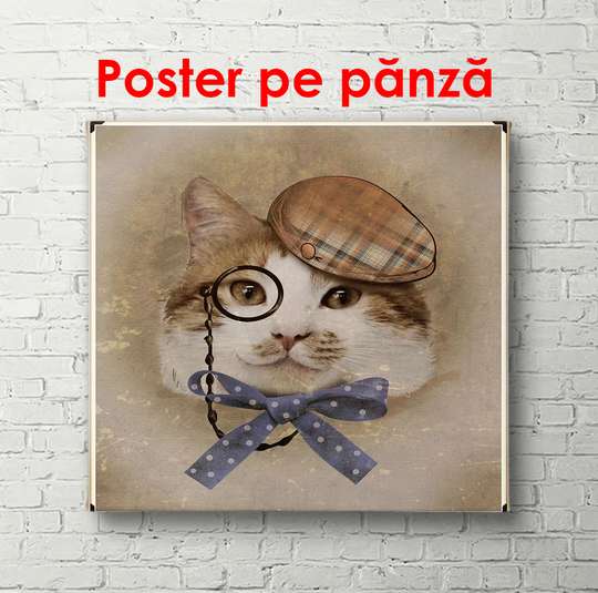 Постер, Кот в очках, 40 x 40 см, Холст на подрамнике, Животные