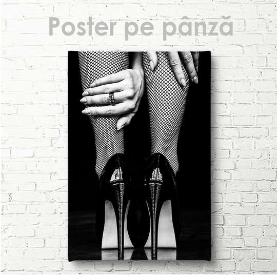 Poster - Pantofi cu toc, 30 x 45 см, Panza pe cadru