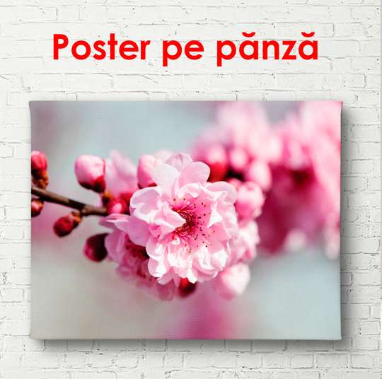 Poster - Spring flowers in pink color, 90 x 60 см, Framed poster, Flowers