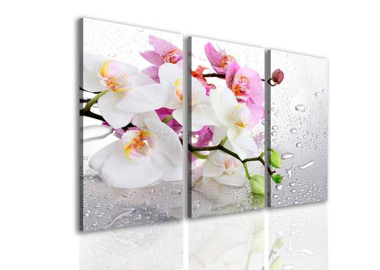 Модульная картина, Розовая и белая орхидеи.