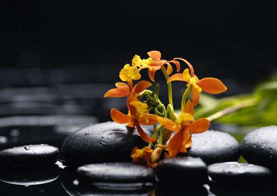 Fototapet - Un buchet de flori pe pietre