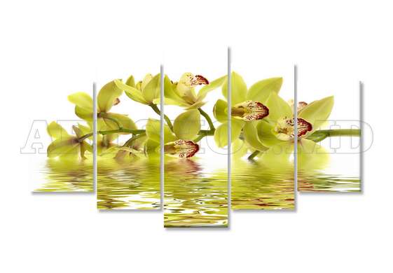 Modular picture, Yellow orchid in water reflection, 108 х 60