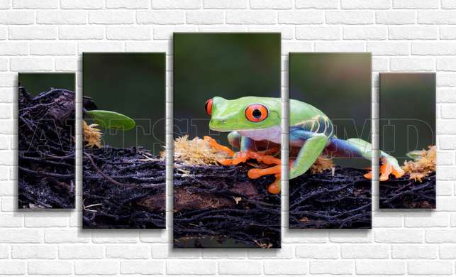 Modular picture, Frog, 108 х 60