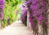 Wall Mural - Fence covered with flowers