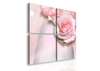 Tablou Pe Panza Multicanvas, Trandafirul roz delicat, 120 x 120