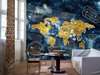 Wall Mural - Abstract world map
