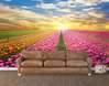 Wall Mural - Field of tulips at sunset