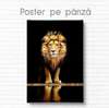 Poster, Lion with golden crown, 60 x 90 см, Canvas on frame