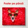 Poster - Dog in red glasses, 90 x 60 см, Framed poster, Different